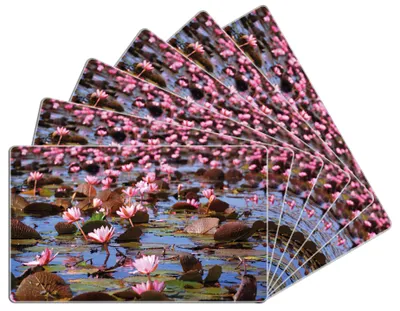 Produktbild von Wallario Frühstücksbrettchen 6er Set aus Glas, je 14 x 23 cm, mit rutschfesten Füßen, Motiv Seerosenlandschaft mit rosa Blüten