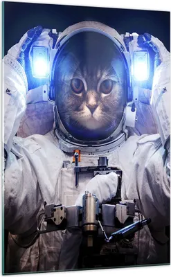 Produktbild von Bilder auf glas - Einteilig - Kosmonaut Katze - 70x100cm - Glasbilder - Wandbilder - Bilder - zum Aufhängen bereit - Wanddekoration aus Glas - Glas Bilder - Wandbild auf Glas - GPA70x100-3734