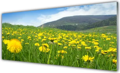 Produktbild von Glasbilder 125x50 Wandbild Druck auf Glas Löwenzahn Feld Natur