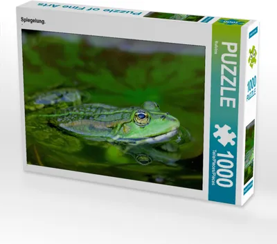 Produktbild von CALVENDO Puzzle Spiegelung. | 1000 Teile Lege-Größe 64x48cm Foto-Puzzle für glückliche Stunden