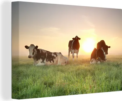 Produktbild von OneMillionCanvasses® - Leinwandbilder - 150x100 cm, Kuh - Sonne - Gras, Wandbilder Kunstdruck Wanddekoration