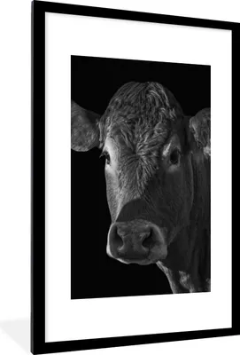 Produktbild von MuchoWow® Gerahmtes Poster Kuh - Tiere - Schwarz - Weiß - Porträt 60x90 cm - Poster mit Schwarzem Bilderrahmen Wandposter Rahmen Foto Bilder - Dekoration - Wandposter Wohnzimmer - Hochwertig