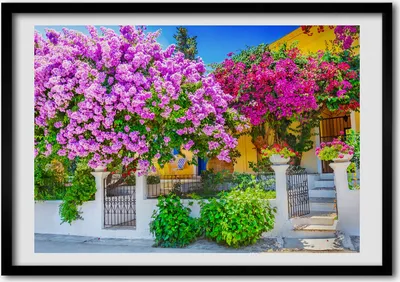 Produktbild von Bild - Bilder - Bilderrahmen - 70 cm x 50 cm - MDF-Rahmen, Wandkunst Haus mit Bougainvillea