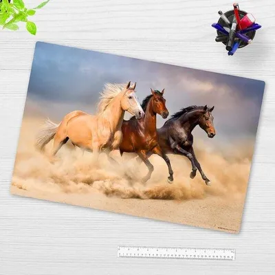 Produktbild von Famanu Schreibtischunterlage 60 x 40 cm - Antirutsch Vinyl - Für Kinder und Erwachsene