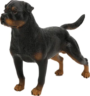 Immagine prodotto di Rottweiler simulazione modello ornamenti desktop decorazione giocattolo educativo per bambini