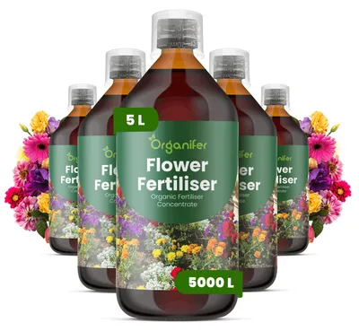 Obrázok produktu pre Flower – Tekuté hnojivo 5 x 1 L – Obsah živín: 3-4-3 (NPK) – Vhodné pre kvitnúce rastliny – Podporuje bohaté kvitnutie a zdravý rast – Posilňuje korene a vitalitu – Organický produkt