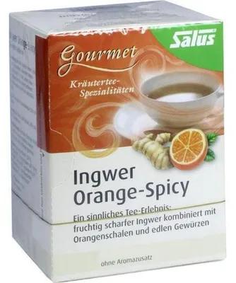 Produktbild von INGWER ORANGE Spicy Tee Salus Filterbeutel