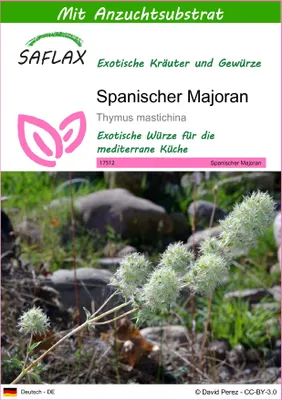 Produktbild von SAFLAX - Kräuter - Spanischer Majoran - 250 Samen - Mit keimfreiem Anzuchtsubstrat - Thymus mastichina