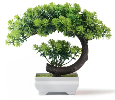 Produktbild von yoerm Kleine künstliche Pflanzen – künstlicher Bonsai-Baum aus Kunststoff, smara