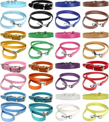 Produktbild von Hundegeschirrset für Welpen & Hunde, Schwarzes Leder, 36cm - 46cm, Bequeme und langlebige Wahl