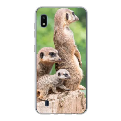 Produktbild von MuchoWow® Handyhülle Schutzhülle Hülle für Samsung Galaxy A10 Erdmännchen - Baumstumpf - Jungtier Silikon Softcase Handy Hülle - Schutzhülle