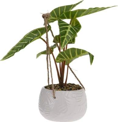 Produktbild von Umelá rastlina v kvetináči Viburnum Wz√≥R 4