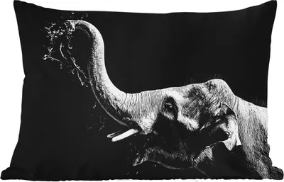 Produktbild von MuchoWow® Outdoor Kissen - Porträt - Elefant - Tiere - Schwarz und weiß - 60x40 cm - Wetterfest - Lounge Kissen - Zierkissen - Kissen für Innenräume