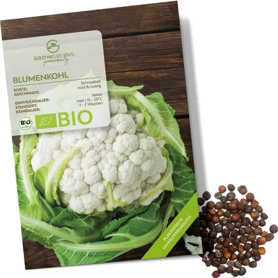 Produktbild von Blumenkohl Samen (Schneeball, 35 Korn) - Blumenkohl Saatgut aus biologischem Anbau ideal für die Anzucht im Garten, Balkon oder Terrasse