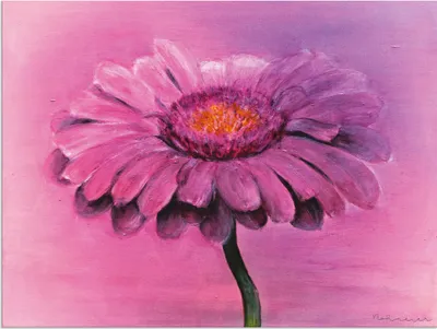 Produktbild von ARTland Wandbild Alu für Innen & Outdoor Gerbera Größe: 60x45 cm