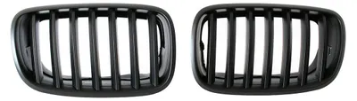 PREMIUM Kühlergrill Sport Grill Gitter in Schwarz für BMW X5 E70 2006-09 – Produktansicht