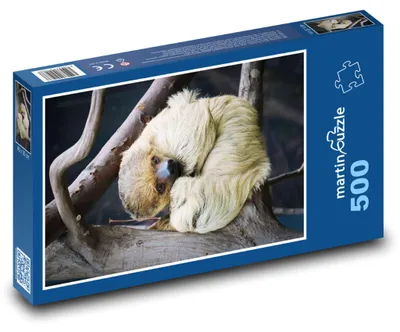 Zdjęcie produktu dla martinpuzzle - Puzzle 500 elementów - "Lenochod w zoo"