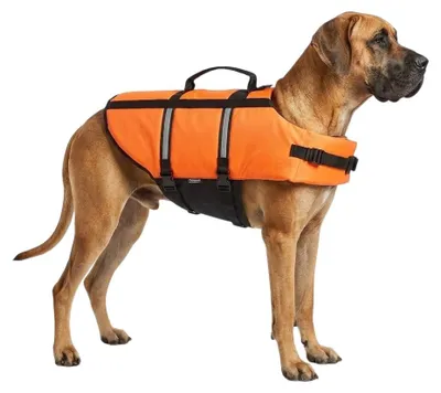 Image de Gilet de Sauvetage pour Chien Marinus fluo