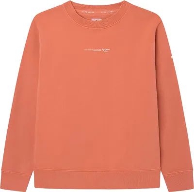 Produktbild von Pepe Jeans Davide Sweatshirt Orange 14 Years Junge Orange 14 Years