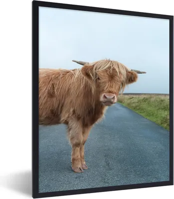 Produktbild von MuchoWow® Gerahmtes Poster Scottish Highlander - Straße - Gras 30x40 cm - Poster mit Schwarzem Bilderrahmen Wandposter Rahmen Foto Bilder - Wanddeko - Kunstdrucke