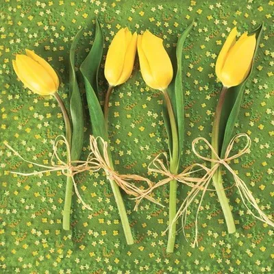 Produktbild von Frühlingsservietten TULPEN 33x33cm 20St.