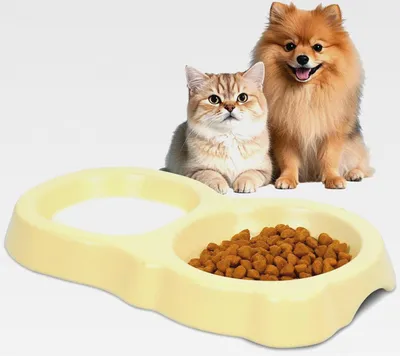 Produktbild von Katzennapf Keramik 2-in-1 rutschfeste Katzennäpfe Katzennapf Flach Keramik Futterschale Whiskerfreundlicher Katzenfutternapf für Katzen und kleine Hunde