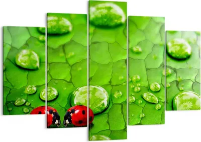 Produktbild von Bild auf Leinwand - Leinwandbild - Marienkäfer Gras Blatt Tropfen - 150x100cm - Wand Bild - Wanddeko - Leinwanddruck - Bilder - Kunstdruck - Leinwand bilder - Wandkunst - EA150x100-2363
