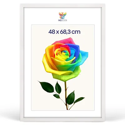 Produktbild von MG Design Bilderrahmen 48 x 68,3 cm - Posterrahmen mit Weiß Holzrahmen (Echtholz) und bruchsicherem Acrylglas, Hoch & Quer mit stabiler Wandaufhängung