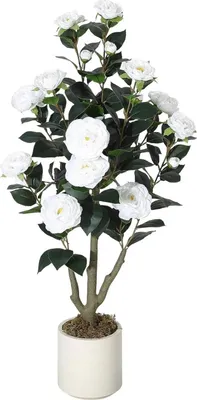 Produktbild von Kamelie - Kunstbaum Bonsai - 90 cm - PVC-Blüten & Blätter - Für Innenbereich - Bodenstehend - Dunkelrosa