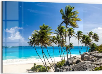 Produktbild von DEQORI Glasbild Echtglas 90x60 cm 'Tropenparadies' Wandbild Bild modern Deko