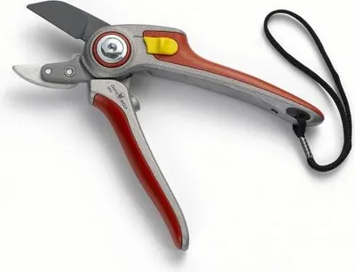 Image de Sécateur WOLF coupe enclume 25 mm poignées aluminium - OFA