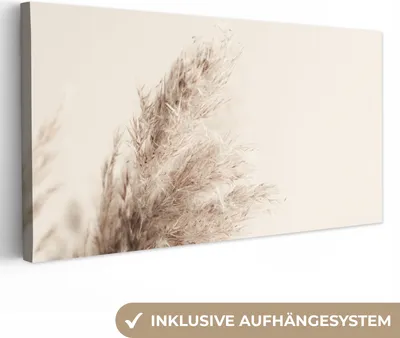 Produktbild von MuchoWow® - Leinwandbilder - Pflanzen - Pampaswedel - Pampasgras - Beige - Natur, Wandbild, Wanddeko Bilder Wohnzimmer, 40x20 cm