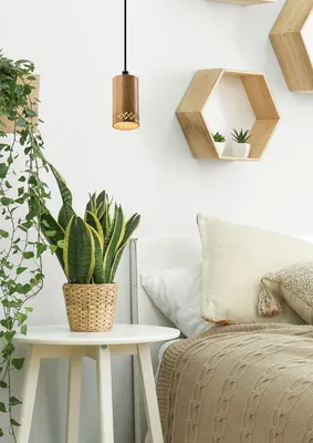 Produktbild von Candellux Hängelampe 1xGU10 25W TUBO 31-78568