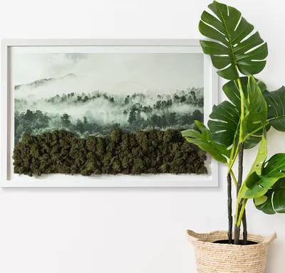 Produktbild von Moosbild mit Konserviertem Moos 3D Wandbild - 60x40 cm - Weißer MDF-Rahmen - Wald im Nebel