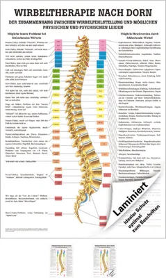 Produktbild von Dorntherapie Lehrtafel Anatomie 100x70 cm medizinische Lehrmittel