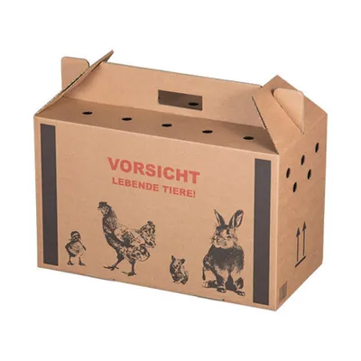 Produktbild von 10x Transportkarton für Kleintiere 480x230x300mm mit Tragegriff Luftlöchern und Automatikboden - Größe M