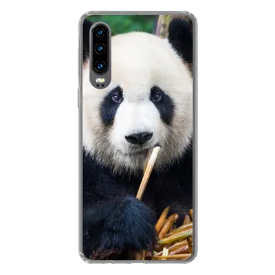 Produktbild von MuchoWow® Handyhülle Schutzhülle Hülle für Huawei P30 Panda - Bambus - Natur Silikon Softcase Handy Hülle - Kartenbesitzer