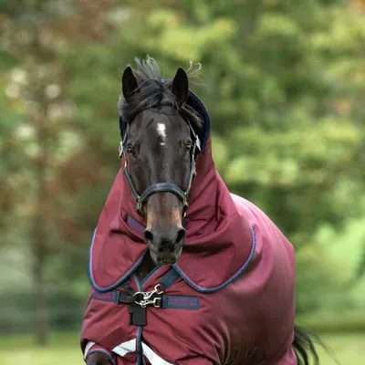 Obrázek produktu pro Horseware Rambo Original Hood Lite 0g - vínová