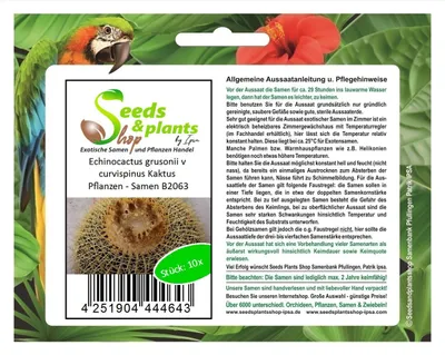 Produktbild von 10x Echinocactus grusonii v curvispinus Kaktus Pflanzen - Samen B2063