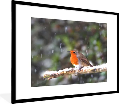 Produktbild von MuchoWow® Gerahmtes Poster Rotkehlchen - Schnee - Zweig 80x60 cm - Poster mit Schwarzem Bilderrahmen Wandposter Rahmen Foto Bilder - Schlafzimmer-Dekorationen - Fotoposter