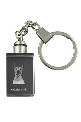 Image de Art-Dog Porte-clés – Xoloitzcuintle