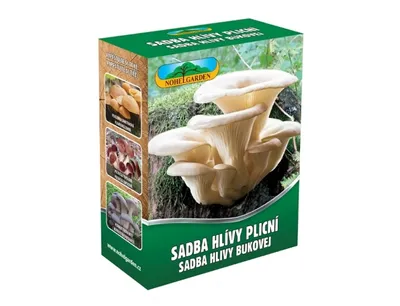 Obrázek produktu pro Nohel Garden Hlíva plicní 250ml
