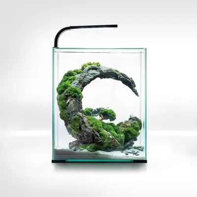 Imagen del producto de Acuario nano para gambas - 320 litros - Vidrio - - Rectangular