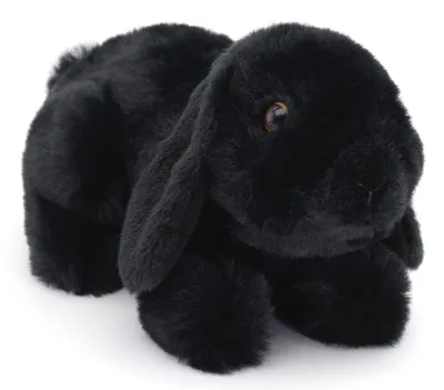 Produktbild von Uni-Toys - Widderkaninchen schwarz, liegend - 20 cm (Länge) - Plüsch-Hase, Kaninchen - Plüschtier, Kuscheltier – Schwarz (Liegend)