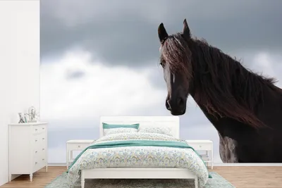 Produktbild von MuchoWow® Fototapete für Wohnzimmer oder Schlafzimmer Wandtapete Vinyl Motivtapete Pferde - Luft - Porträt - 600x400 cm - Vinyltapeten