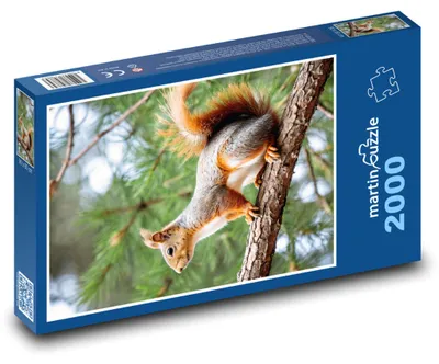 Zdjęcie produktu dla martinpuzzle - Puzzle 2000 - Veverka