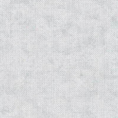 Produktbild von A.S. Creation | The BOS | 388261 | Vliestapete | Einfarbig | Uni | 0.53 x 10.05 m | Grau | Wohnzimmer | Flur | Büro | Kü