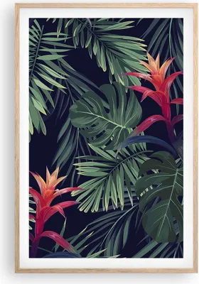 Produktbild von Gerahmtes Poster - Rahmen in heller Eiche - Exotisch Blumen Blätter - 61x91,5 cm - Wand Bild - Wanddeko - Wandbilder - Wandposter - Bilderrahmen - Bilder - Kunstdruck - Wandbild - P2NPA61x91-4308