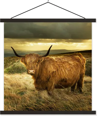 Produktbild von MuchoWow® Textilposter Schottische Hochlandrind - Licht - Natur 90x90 cm mit schwarzem Rahmen - Magnetisches