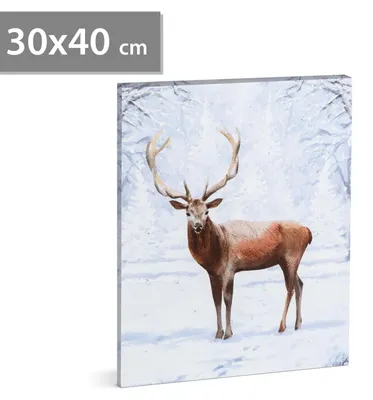 Zdjęcie produktu dla Obraz LED - sobota - 2 baterie AA, 30 x 40 cm